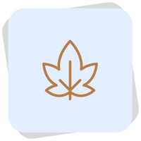 <p>Seasonless</p>