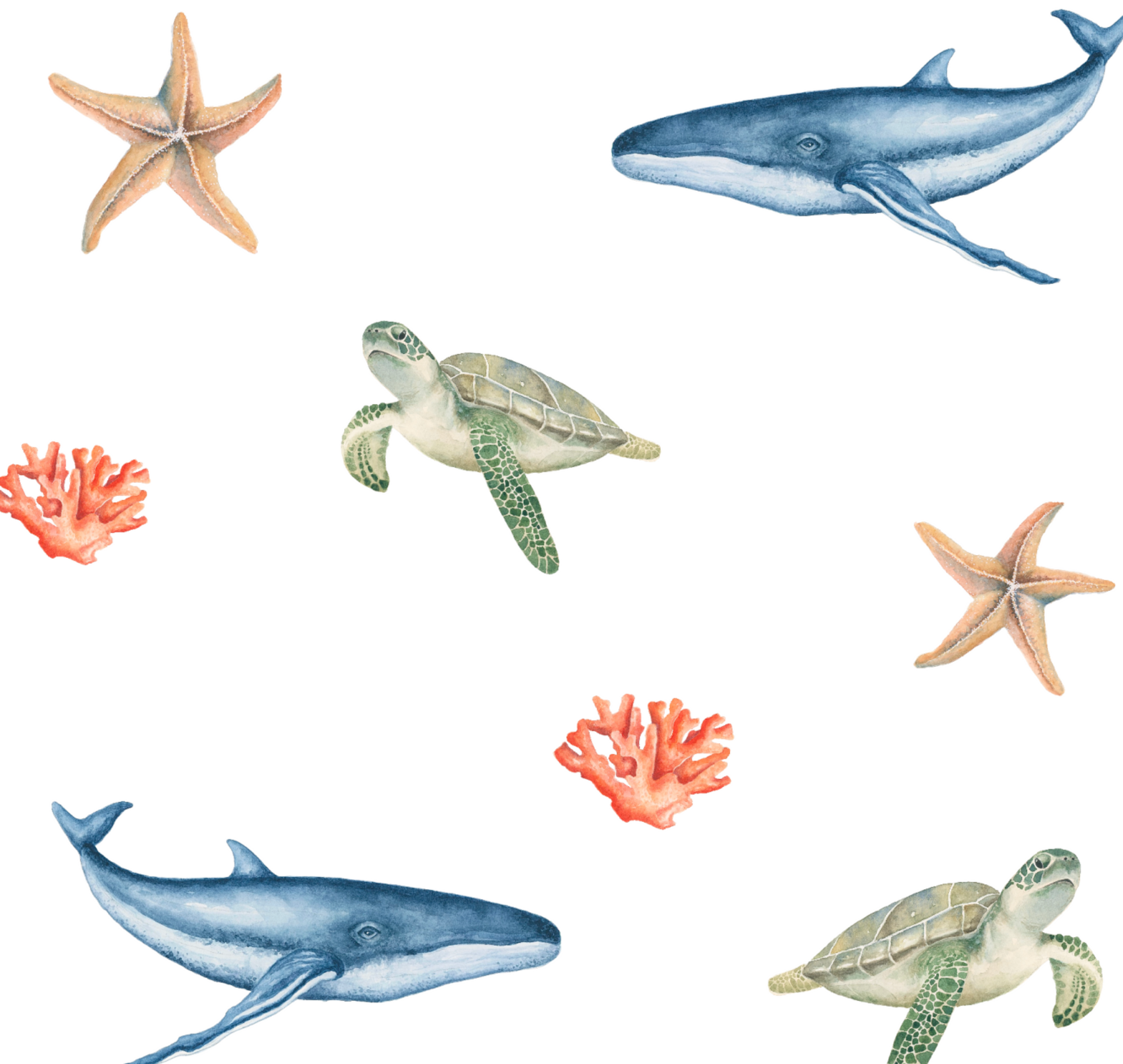 Illustrations of a whale, turtle, and starfish on a white background