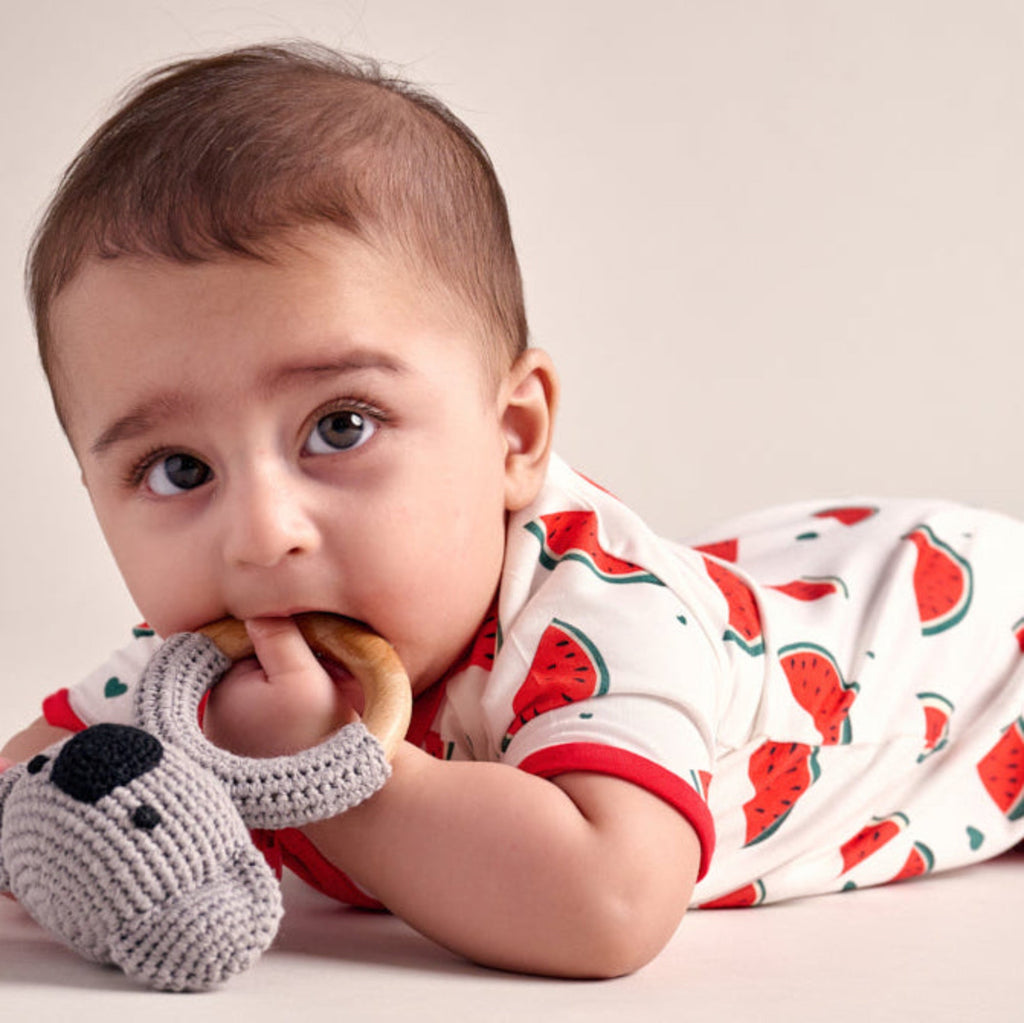 Watermelon Shortie Side View Toy