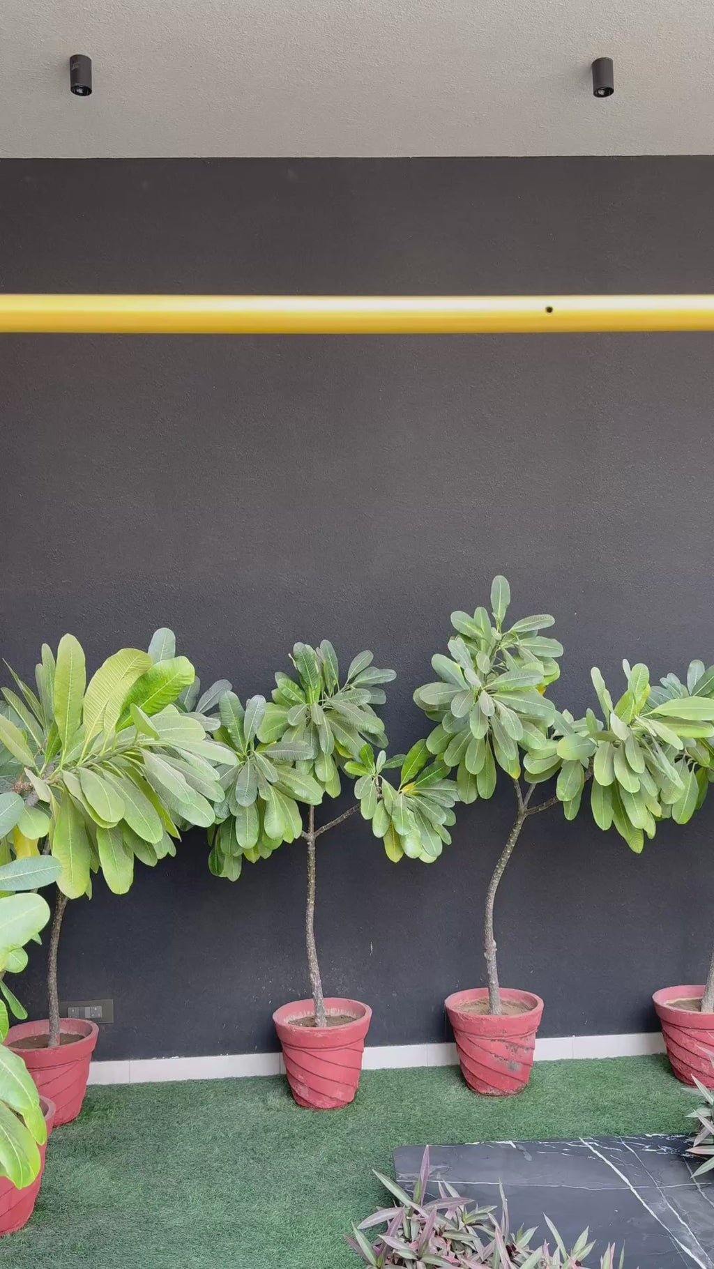 Under the sea Bamboo Romper