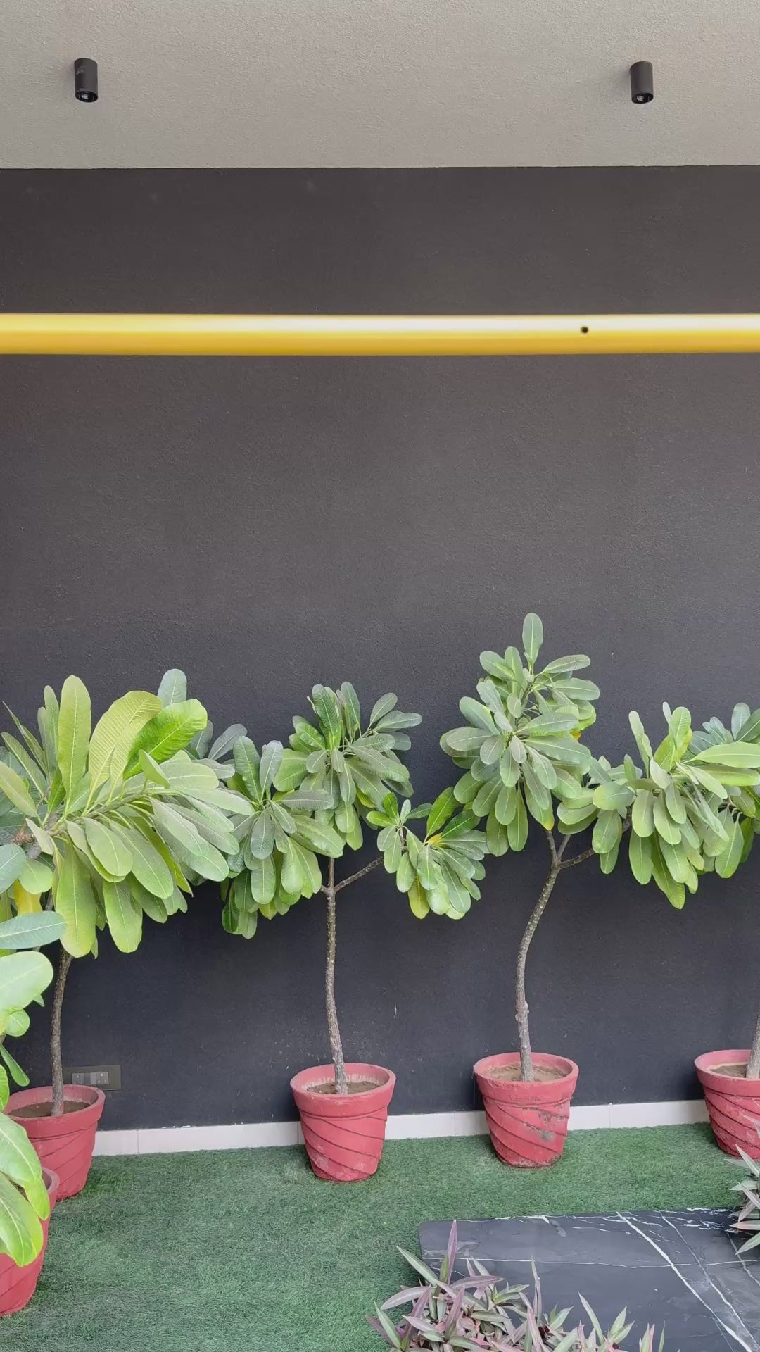 Under the sea - Romper