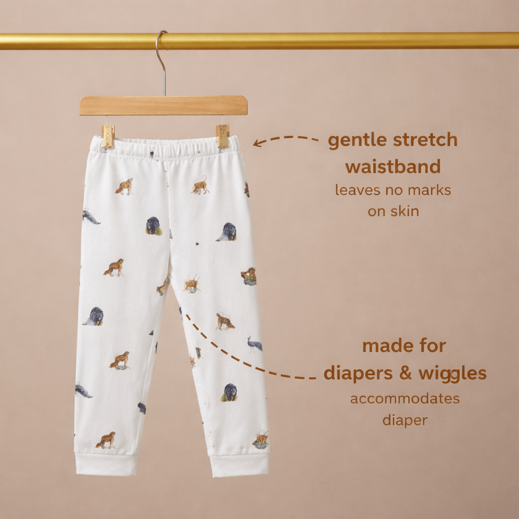 Wild Wonders Bamboo Long Sleeve Set - Bubz
